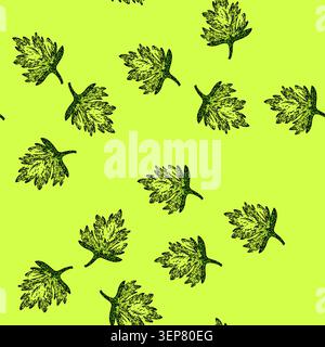 pattern anthriscus chervil hand drawn. plant illustration, food fennel, parsly etching anthriscus chervil vector sketch illustration Stock Vector