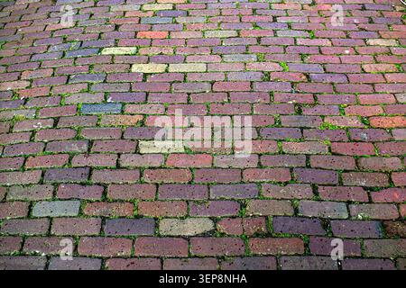 Mossy Vertical Stone Block Pavement Texture Stock Photo