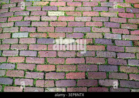 Mossy Vertical Stone Block Pavement Texture Stock Photo
