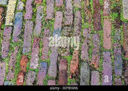 Mossy Vertical Stone Block Pavement Texture Stock Photo