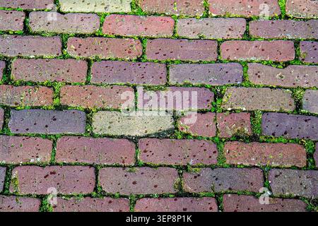 Mossy Vertical Stone Block Pavement Texture Stock Photo