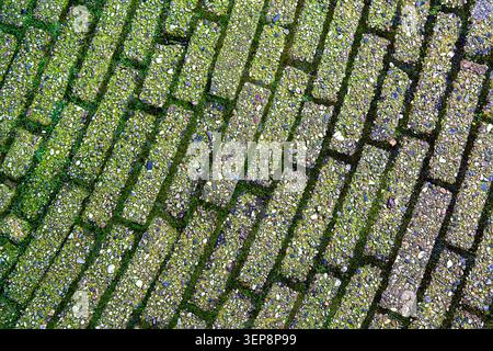 Mossy Vertical Stone Block Pavement Texture Stock Photo