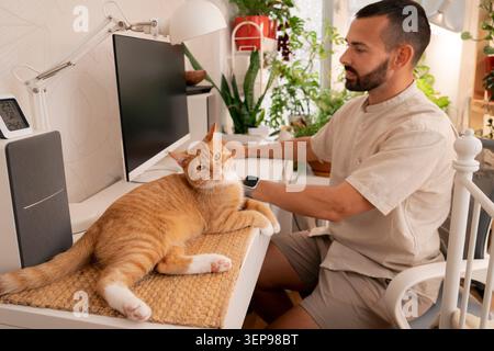 A bearded man is working at his desk. An orange tabby cat is lounging on the desk next to the keyboard. Many plants sit on the windowsill in the backg Stock Photo