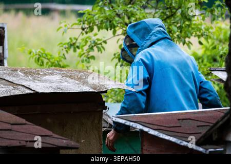 Beekeeper in blue protective suit tending wooden hives outdoors on a rainy day beside trees and rooftops. Rural apiary scene with natural greenery and Stock Photo