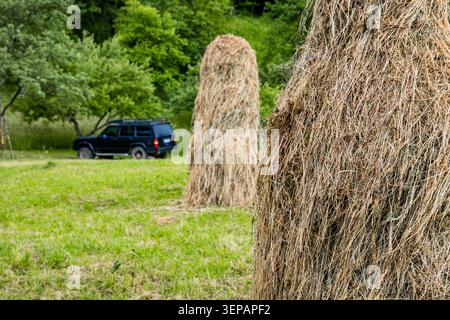 Traditional Haystacks Standing on Green Rural Meadow Under Dramatic Cloudy Sky Stock Photo