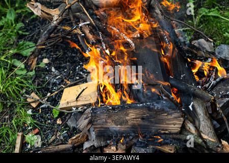 Close view of a lively campfire shows curling flames licking charred logs. Glowing embers and blackened wood create dramatic heat as the fire consumes Stock Photo