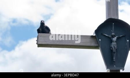 Memento Mori - Corvus Corax - Black Crow sitting on a Cross. High quality photo Stock Photo
