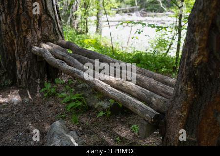 Handmade wooden bench made of logs between tree trunks in a wild forest camp Stock Photo