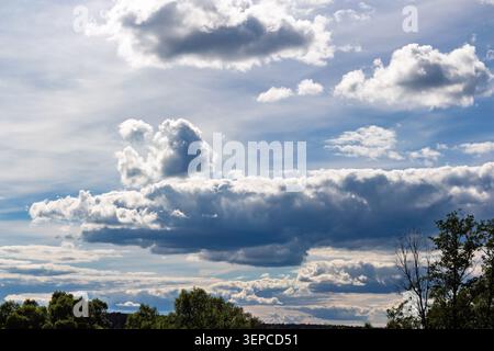 Fluffy white cloud shaped like a crocodile floating in a bright blue sky, ethereal pareidolia phenomenon captured during a sunny day with trees visibl Stock Photo