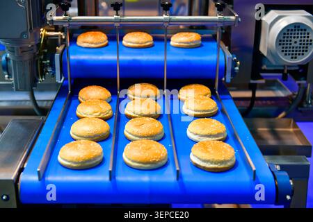 Modern industrial bakery production machinery manufacturing fresh hamburger buns in factory plant Stock Photo