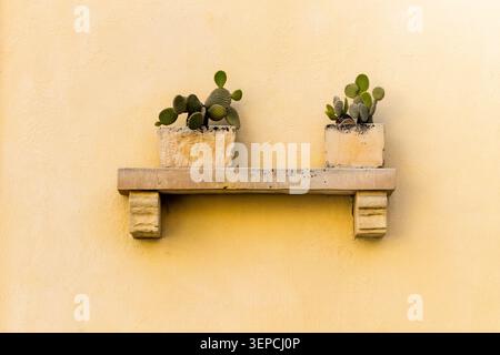 Two Potted Cacti On A Stone Shelf Against A Textured Yellow Wall, Minimal Rustic Decor Stock Photo