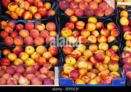 Crates of peaches and nectarines on a stall at the fruit market. Food background. Stock Photo
