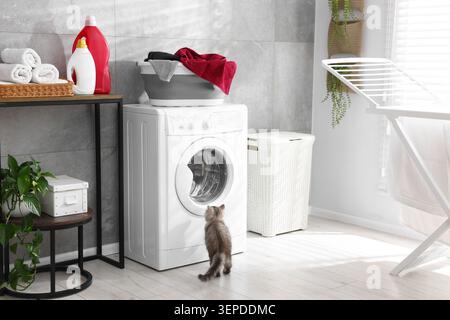 Cute cat near clean towels in laundry basket and washing machine in bathroom Stock Photo