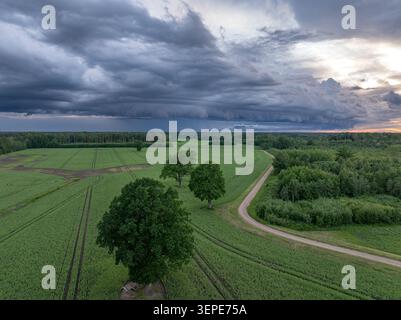 Dramatic shelf cloud over green agricultural fields and rural landscape in Latvia. Aerial photo. Stock Photo
