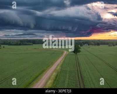 Massive shelf cloud over rural road and green farmland at sunset in Latvia Stock Photo