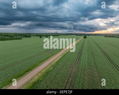 Dramatic shelf cloud approaching over green agricultural fields and rural road at sunset Stock Photo