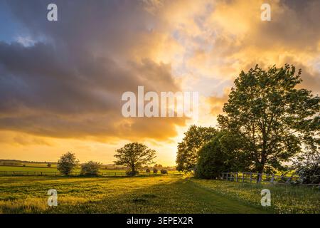 The footpath across the fields between Slingsby and Fryton in North Yorkshre at sunset Stock Photo