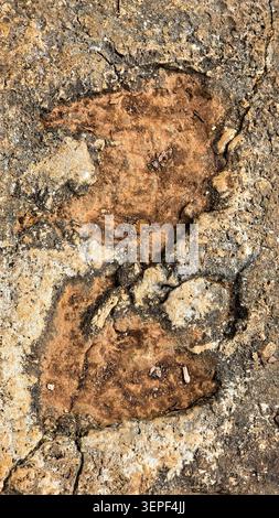 Detailed close-up of a weathered rocky surface showing rough texture, cracks, and color variations in brown and gray tones. Stock Photo