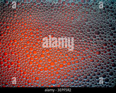 Red liquid underlying a intricate pattern of foamy soap bubbles Stock Photo