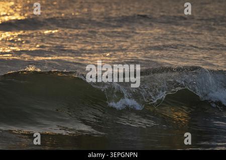 Detail, splashing seawater, breaking wave in evening light, Houvig Beach, North Sea, Denmark Stock Photo