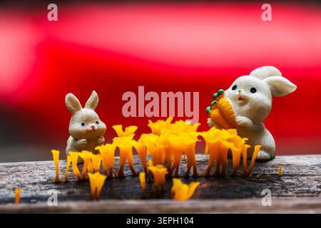 Two cute white rabbit figurines with joyful expressions sit on wooden surface surrounded by vibrant yellow mushrooms, one holding carrot, with bright Stock Photo
