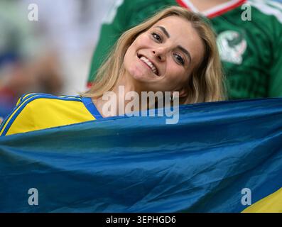 Monterrey Mexico June 14 A Fan Of Sweden Cheer During The FIFA monterrey-mexico-june-14-a-fan-of-sweden-cheer-during-the-fifa