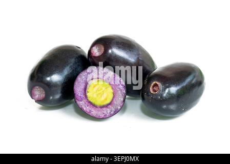 Jambolan plum or Java plum isolated on white background. jamun (syzygium cumini) fresh fruits Stock Photo
