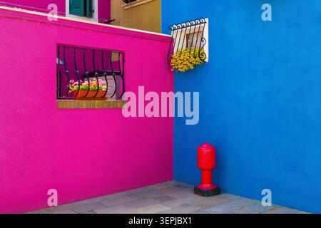 A minimalist composition featuring a bright pink wall with window flowers meeting a vibrant blue wall with a red fire hydrant in Burano, Italy Stock Photo