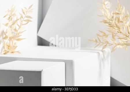 Minimalist Abstract Composition with Geometric Shapes and Dried Leaves in Soft Tones Stock Photo