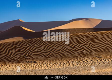 Golden light on rippled desert sand dunes Stock Photo