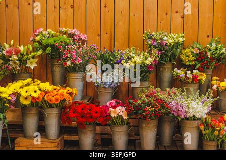 Colorful fresh cut flowers in rustic buckets Stock Photo