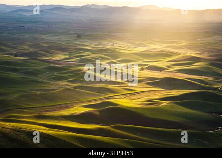 Golden sunset light over beautiful rolling green hills Stock Photo