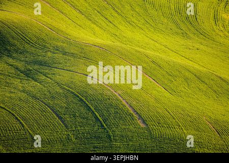 Aerial view of lush green rolling fields divided by traditional stone ...
