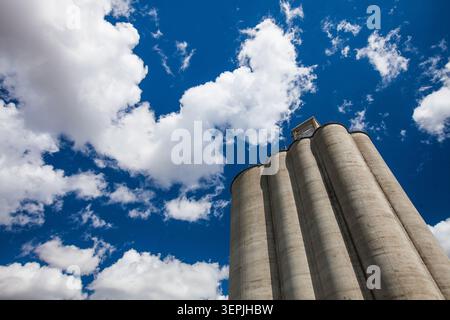 Industrial grain elevator against a bright blue sky Stock Photo