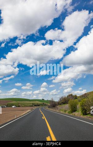 Empty winding road through rolling country hills Stock Photo