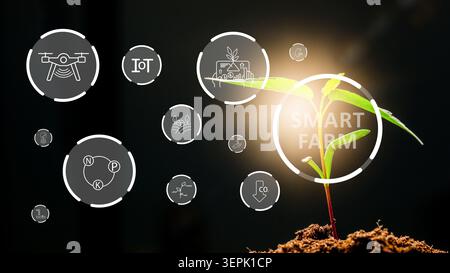 Smart farm technology enhances plant growth through IoT and drone systems in agriculture Stock Photo
