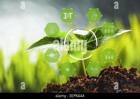 Smart farm technology enhances plant growth using IoT and data management methods Stock Photo
