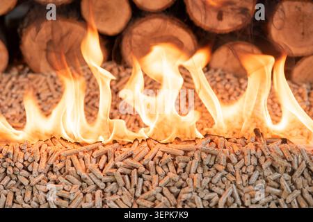 Close-up side view of burning wood pellets with bright flames. A stacked firewood wall appears softly blurred in the background. Concept of biomass fu Stock Photo