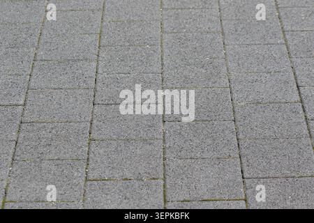 Angled full frame view of gray rectangular concrete interlocking pavers on a city sidewalk Stock Photo