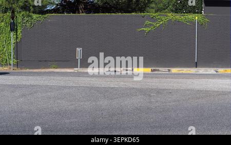 Dark gray brick wall, with ivy on top, at the road side. Asphalt street in front. Background for copy space. Stock Photo
