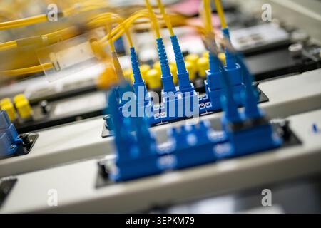 Fiber patch panel with connected optical cables in a server rack data center Stock Photo