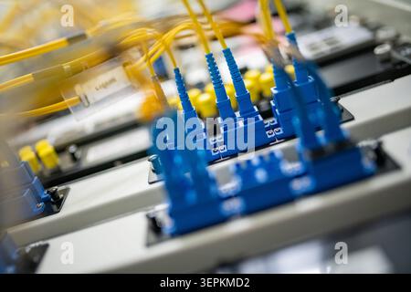 Fiber patch panel with connected optical cables in a server rack data center Stock Photo