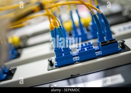 Fiber patch panel with connected optical cables in a server rack data center Stock Photo