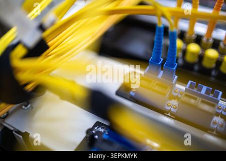Fiber patch panel with connected optical cables in a server rack data center Stock Photo