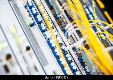 Close-up of high-density network switch chassis with fiber optic patch cords and cable labels in server room. Stock Photo