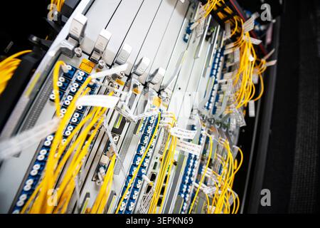 Close-up of high-density network switch chassis with fiber optic patch cords and cable labels in server room. Stock Photo