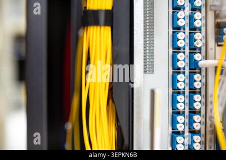 Close-up of high-density network switch chassis with fiber optic patch cords and cable labels in server room. Stock Photo
