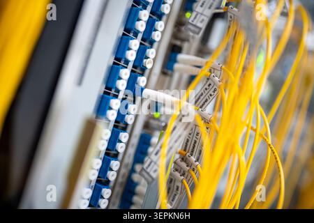 Close-up of high-density network switch chassis with fiber optic patch cords and cable labels in server room. Stock Photo