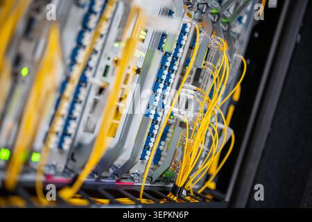 Close-up of high-density network switch chassis with fiber optic patch cords and cable labels in server room. Stock Photo