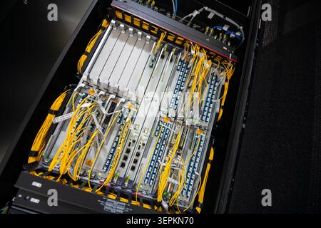 Close-up of high-density network switch chassis with fiber optic patch cords and cable labels in server room. Stock Photo